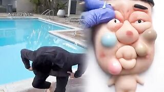 Normal fish vs sunfish when you catch them