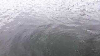 Cam Ranh câu cá короткий выход на воду что клюнуло и на какую снасть