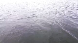 Cam Ranh câu cá короткий выход на воду что клюнуло и на какую снасть