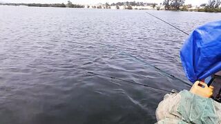 Cam Ranh câu cá короткий выход на воду что клюнуло и на какую снасть