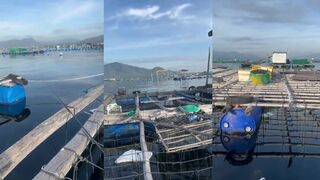 морская рыбалка в Cam Ranh где встать и чем кормить точку с берега?