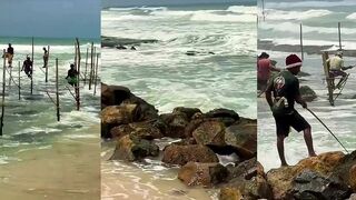 Stick Fisherman in Hikkaduwa 
