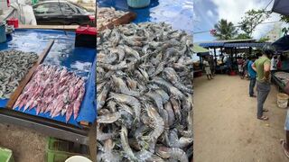 ගාල්ල Galle, креветки и крабы на леллама где найти свежак дешевле?
