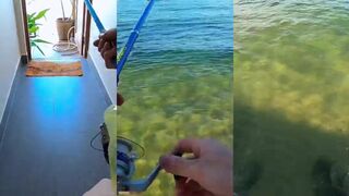 Phụ Quoc (Фукуок) Island, утренний улов на пляже и кто там выходит в рассвет