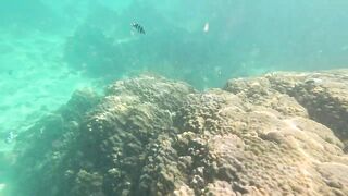 морская рыбалка на Phu Quoc/Фукуок: короткий выход и что взяли в садок