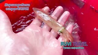 морская рыбалка на Phu Quoc/Фукуок с RUVI TRAVEL как проходит тур?