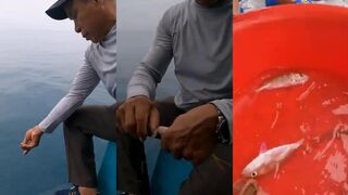 морская рыбалка на Phú Quốc (Фукуок) что клюет с лодки и как ведут снасть