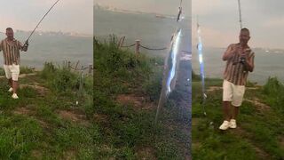 Hainan/海南: cutlassfish светится под фонарем почему он светится?