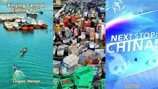 Lingao Xinying Central Fishing Port: сердце побережья Hainan/Хайнань