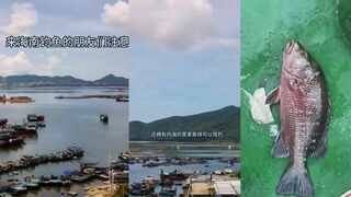 海南钓鱼攻略 где ловить комфортнее и почему рыбакам тут хорошо