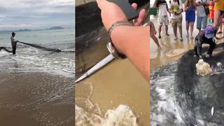 Санья развлечения от местных рыбаков, что они показывают туристам у воды