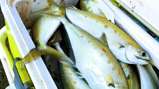 海南三亚龙栖湾波波利海岸，寻找到一处最适合海钓的地方，来看看