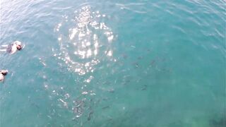 Rixos Tekirova: кормление рыб у пирса и отпускной кадр без спешки