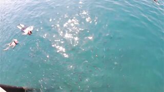 Rixos Tekirova: кормление рыб у пирса и отпускной кадр без спешки