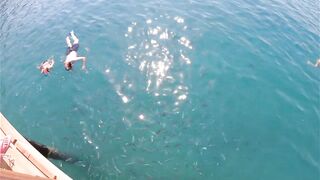 Rixos Tekirova: кормление рыб у пирса и отпускной кадр без спешки