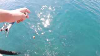 Rixos Tekirova: кормление рыб у пирса и отпускной кадр без спешки