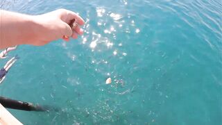 Rixos Tekirova: кормление рыб у пирса и отпускной кадр без спешки