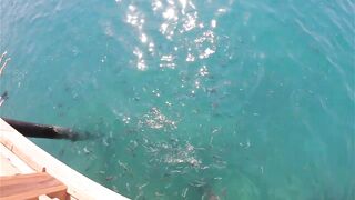 Rixos Tekirova: кормление рыб у пирса и отпускной кадр без спешки