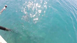 Rixos Tekirova: кормление рыб у пирса и отпускной кадр без спешки