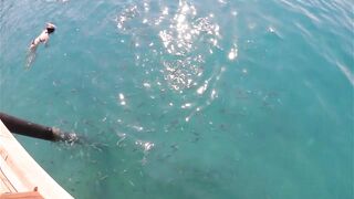 Rixos Tekirova: кормление рыб у пирса и отпускной кадр без спешки