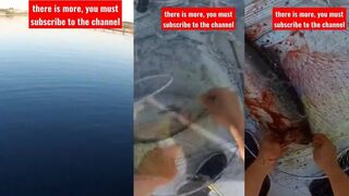 Republic of Turkey giant trout и рыбалка на форель где нашли такую воду