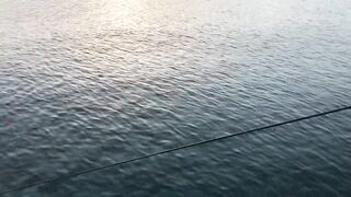 Турция Tekirova grouper на спиннинг и бешеный клев хирургов