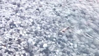 Турция Tekirova grouper на спиннинг и бешеный клев хирургов