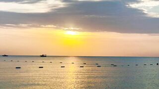 Турция Tekirova grouper на спиннинг и бешеный клев хирургов