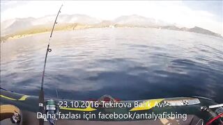 Tekirova Adrasan balık avı