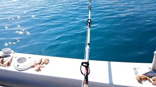 Tekirova Alacasu mercan и морская рыбалка глубоко что ставят местные