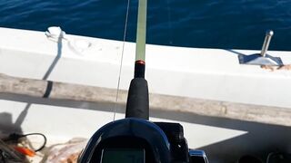 Tekirova Alacasu mercan и морская рыбалка глубоко что ставят местные