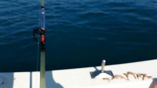 Tekirova Alacasu mercan и морская рыбалка глубоко что ставят местные