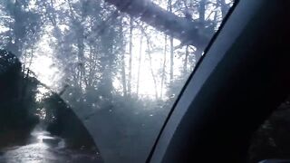 Tekirova Alacasu mercan и морская рыбалка глубоко что ставят местные