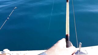 Tekirova Alacasu mercan и морская рыбалка глубоко что ставят местные