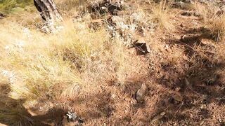 ANTALYA KEMER TEKİROVA shore jigging с берега упорство и зацепы