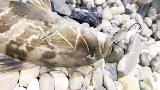 Kemer Çamyuva Akbader surfcasting 4K проверка точки и первые поклевки