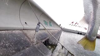 Doha Corniche - морская рыбалка в Qatar ультралайт против монстра