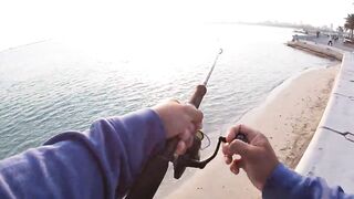 Doha Corniche milkfish как удержать на крючке и не слить у камней