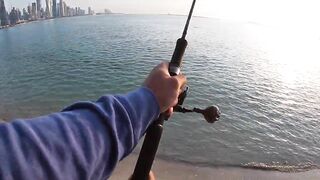 Doha Corniche milkfish как удержать на крючке и не слить у камней