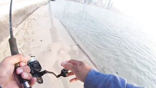 Doha Corniche milkfish как удержать на крючке и не слить у камней