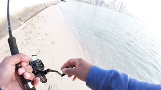 Doha Corniche milkfish как удержать на крючке и не слить у камней