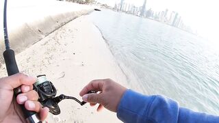 Doha Corniche milkfish как удержать на крючке и не слить у камней