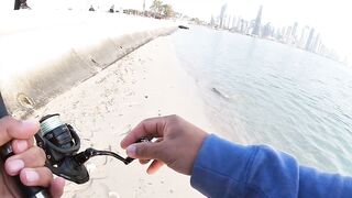 Doha Corniche milkfish как удержать на крючке и не слить у камней