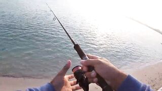 Doha Corniche milkfish как удержать на крючке и не слить у камней