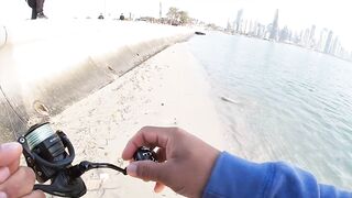 Doha Corniche milkfish как удержать на крючке и не слить у камней