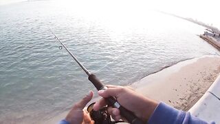 Doha Corniche milkfish как удержать на крючке и не слить у камней