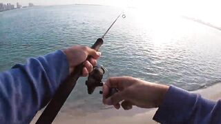 Doha Corniche milkfish как удержать на крючке и не слить у камней