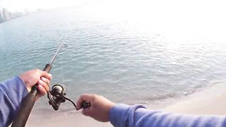 Doha Corniche milkfish как удержать на крючке и не слить у камней