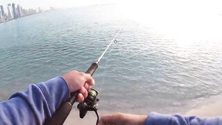 Doha Corniche milkfish как удержать на крючке и не слить у камней