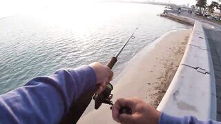 Doha Corniche milkfish как удержать на крючке и не слить у камней